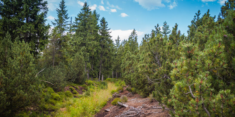 MINI-Erzgebirge-01.jpg MINI-Erzgebirge-01.jpg